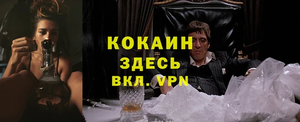 прущие крисы Магас