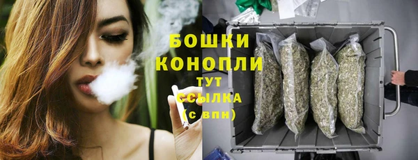 твердый Майский