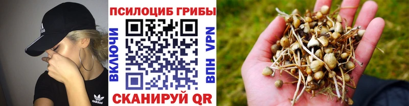 Псилоцибиновые грибы ЛСД  Купить закладки  Михайловск 