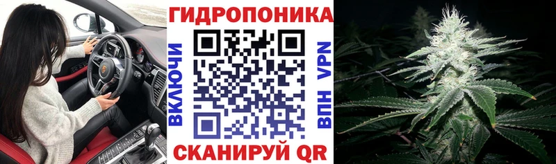 Бошки Шишки THC 21%  Купить  Михайловск 